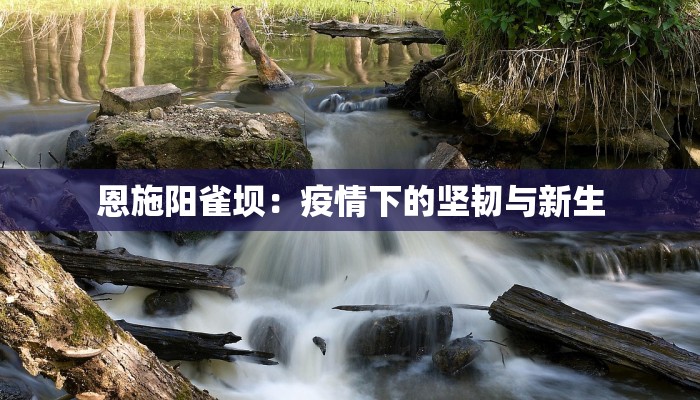 兰州西北疫情最新消息：守护健康，科学防控，共筑安全屏障