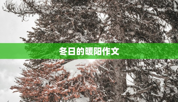 冬日的暖阳作文
