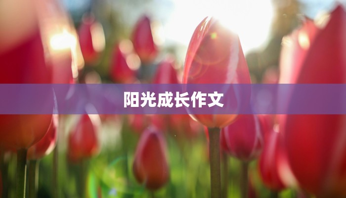 阳光成长作文