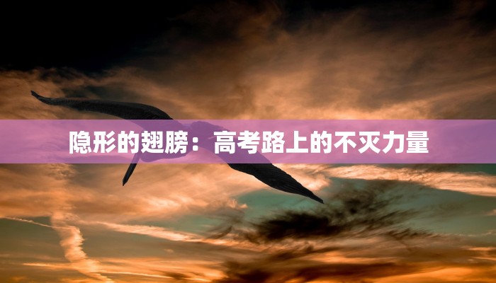 隐形的翅膀：高考路上的不灭力量
