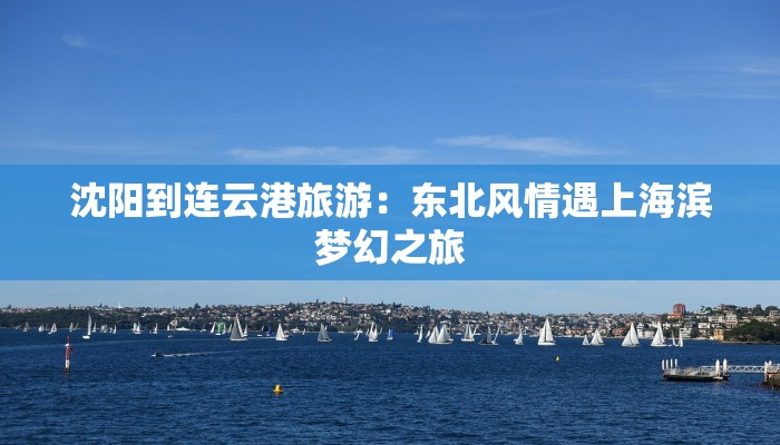 沈阳到连云港旅游：东北风情遇上海滨梦幻之旅