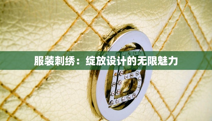 服装刺绣：绽放设计的无限魅力