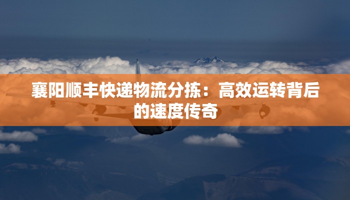 襄阳顺丰快递物流分拣：高效运转背后的速度传奇