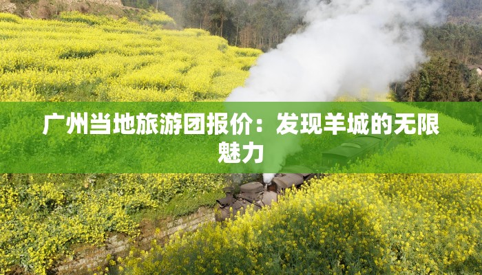广州当地旅游团报价：发现羊城的无限魅力