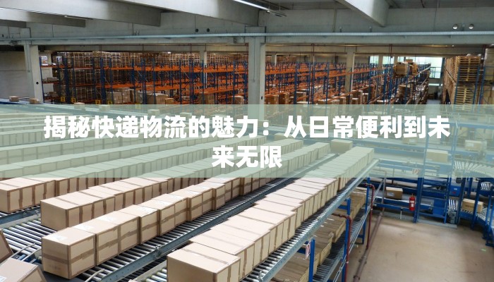 揭秘快递物流的魅力：从日常便利到未来无限