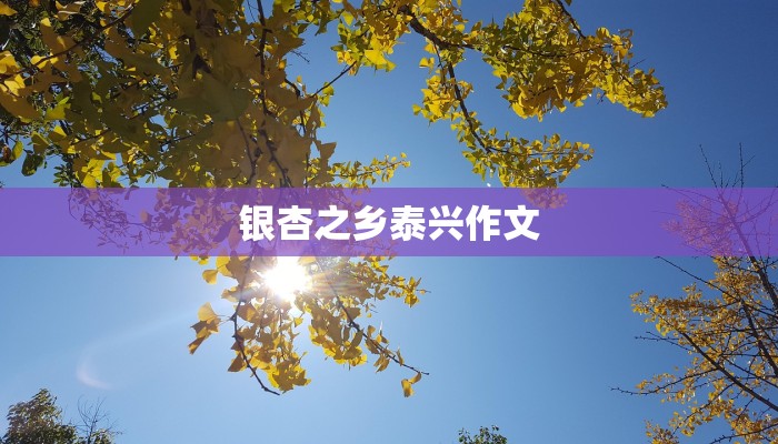 银杏之乡泰兴作文