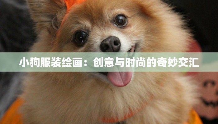 小狗服装绘画：创意与时尚的奇妙交汇
