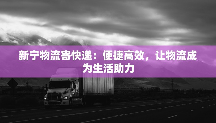 新宁物流寄快递：便捷高效，让物流成为生活助力