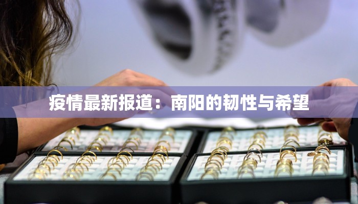 疫情最新报道：南阳的韧性与希望