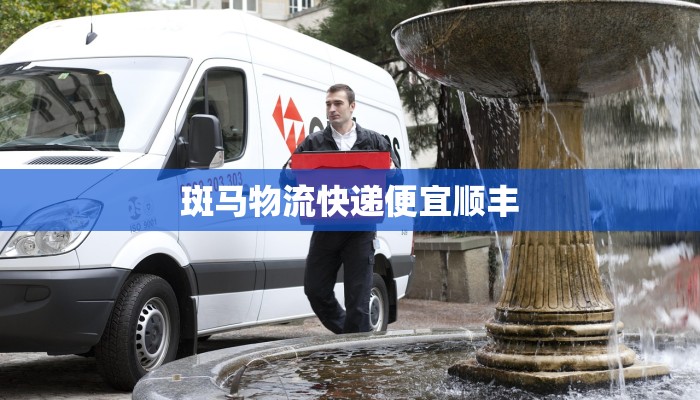 斑马物流快递便宜顺丰