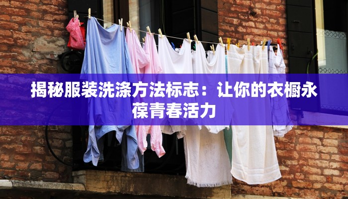 揭秘服装洗涤方法标志：让你的衣橱永葆青春活力