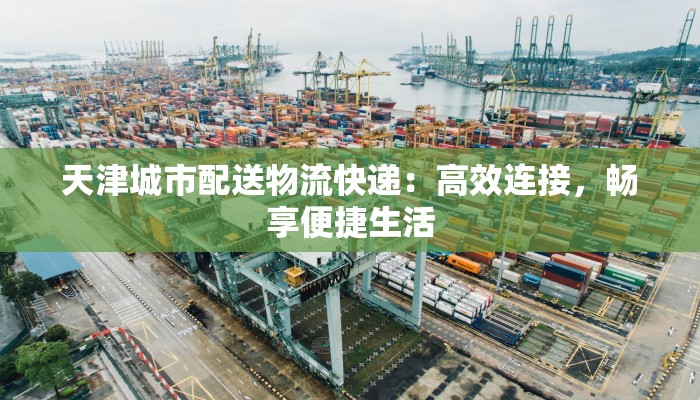 天津城市配送物流快递：高效连接，畅享便捷生活