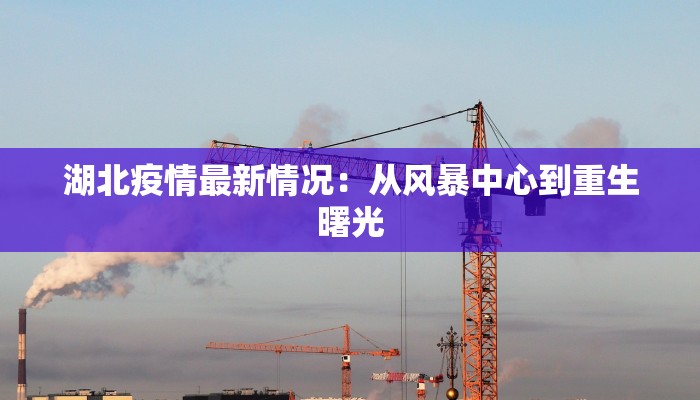 湖北疫情最新情况：从风暴中心到重生曙光