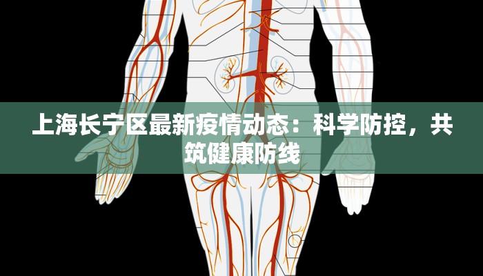 上海长宁区最新疫情动态：科学防控，共筑健康防线