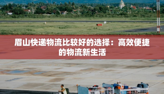 眉山快递物流比较好的选择：高效便捷的物流新生活
