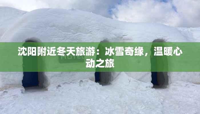 沈阳附近冬天旅游：冰雪奇缘，温暖心动之旅