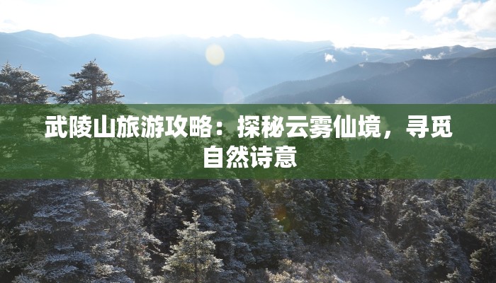 武陵山旅游攻略：探秘云雾仙境，寻觅自然诗意