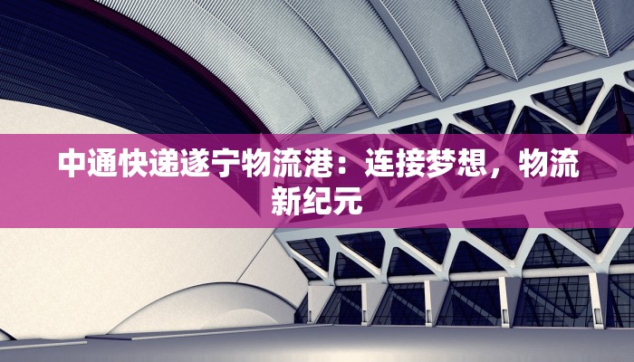中通快递遂宁物流港：连接梦想，物流新纪元