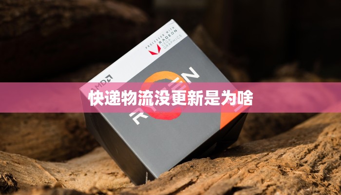 快递物流没更新是为啥