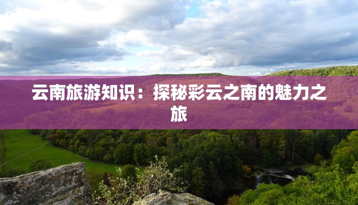 枣庄婴儿服装店：为宝宝的每一天注入无限温柔