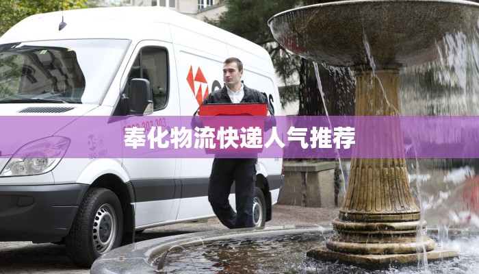 文科课程的优势作文