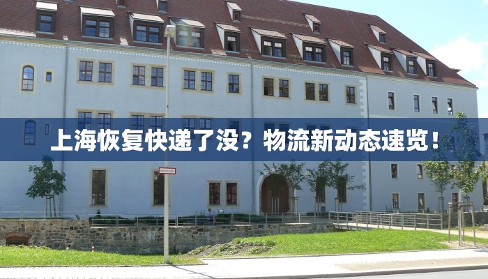 木质展示架：服装店的优雅守护者