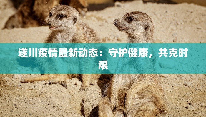 遂川疫情最新动态：守护健康，共克时艰