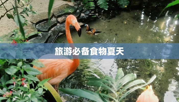 旅游必备食物夏天