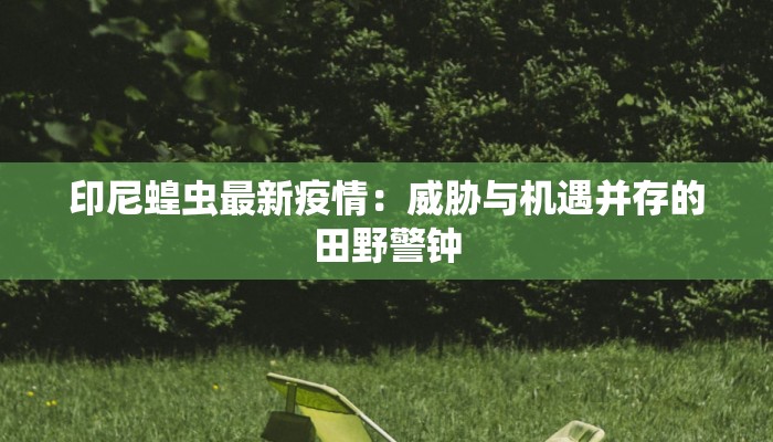印尼蝗虫最新疫情：威胁与机遇并存的田野警钟