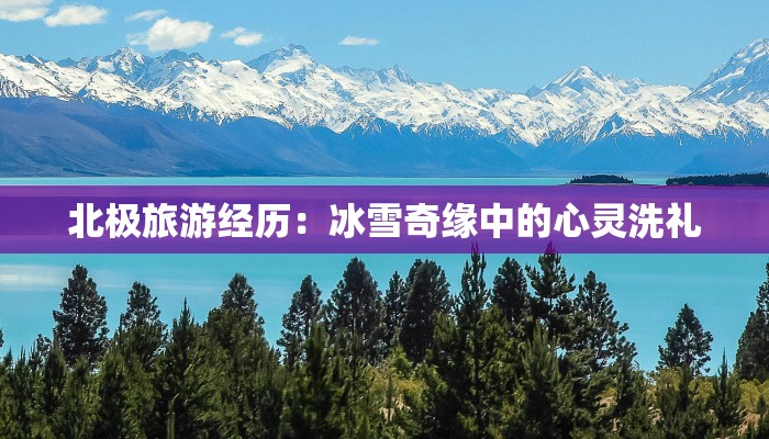 北极旅游经历：冰雪奇缘中的心灵洗礼