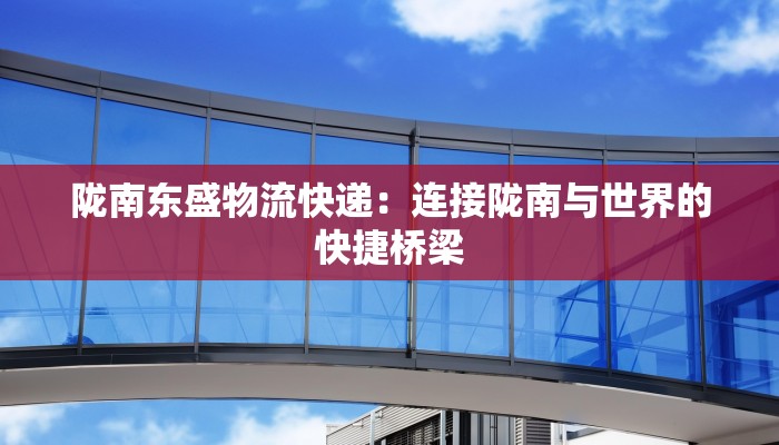 陇南东盛物流快递：连接陇南与世界的快捷桥梁