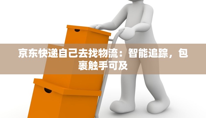 临邑宝姿服装厂：时尚绽放，品质永恒的魅力之旅