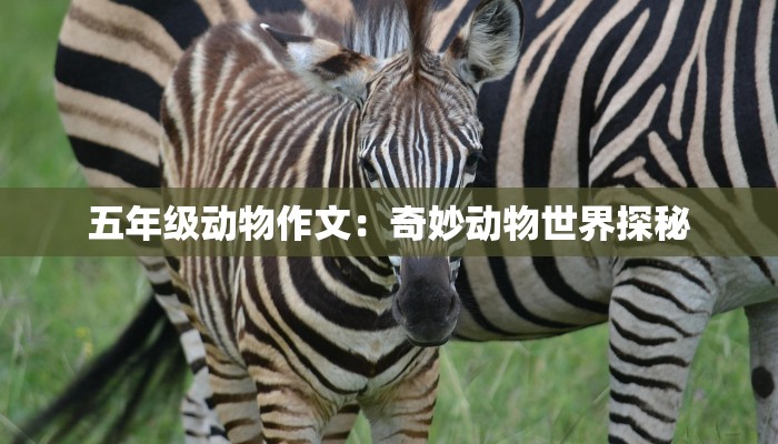 五年级动物作文：奇妙动物世界探秘