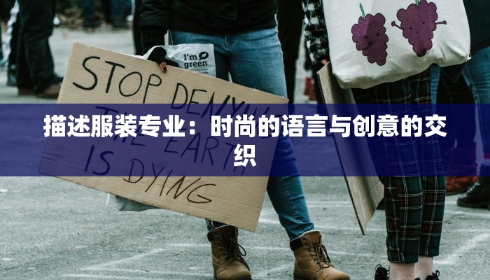 描述服装专业：时尚的语言与创意的交织