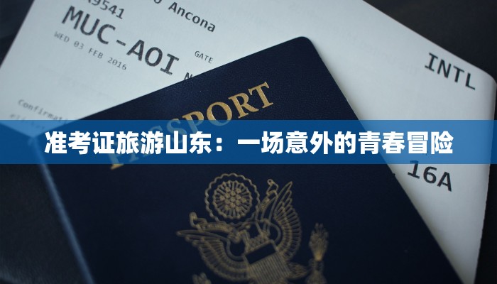 准考证旅游山东：一场意外的青春冒险