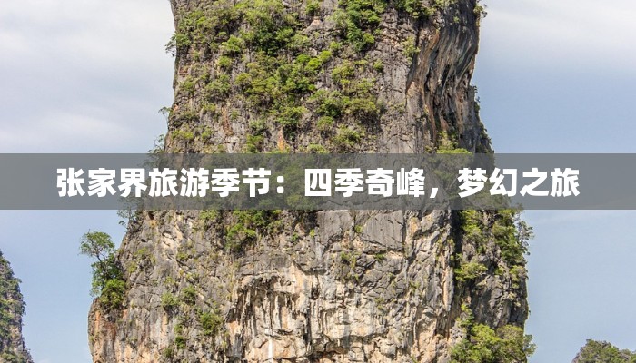张家界旅游季节：四季奇峰，梦幻之旅