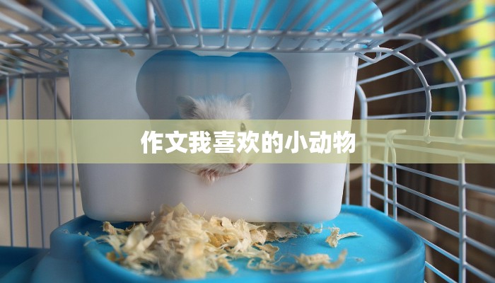 作文我喜欢的小动物