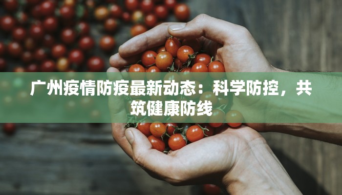 广州疫情防疫最新动态：科学防控，共筑健康防线