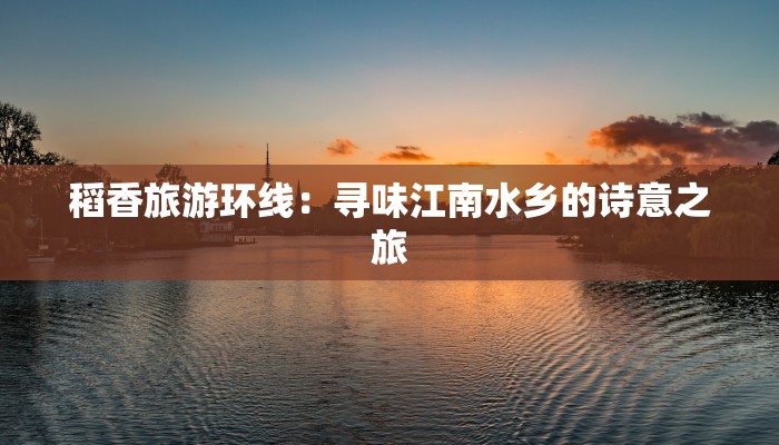 安徽物流快递袋功能：高效守护您的物流之旅