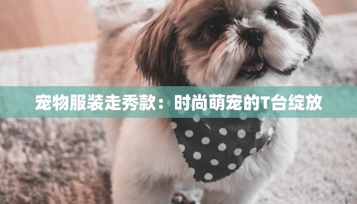 宠物服装走秀款：时尚萌宠的T台绽放