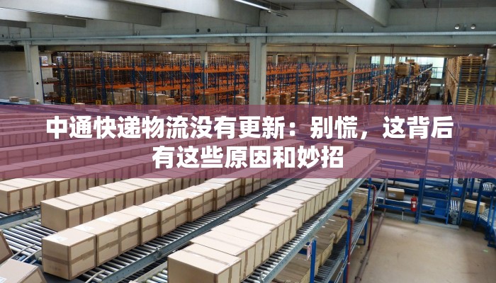 中通快递物流没有更新：别慌，这背后有这些原因和妙招