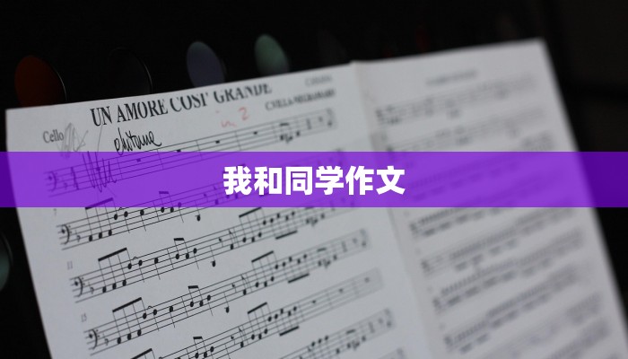 我和同学作文