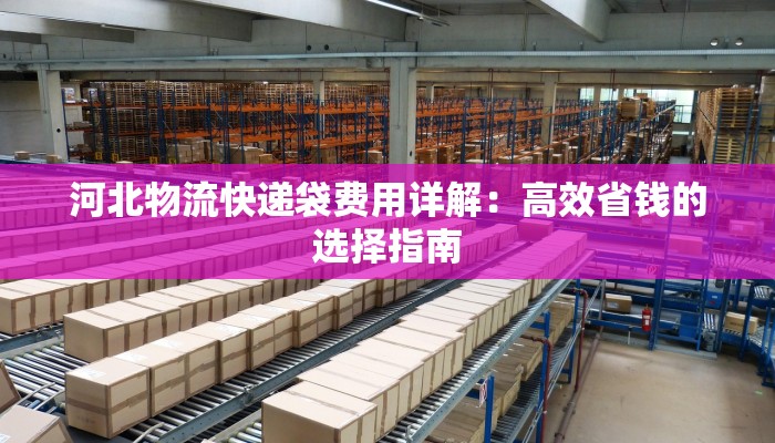 河北物流快递袋费用详解：高效省钱的选择指南