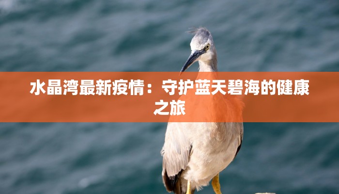 字节疫情最新分析